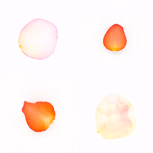 Infinite Petals 2x2#20095