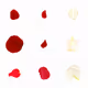 Infinite Petals 3x3#20841
