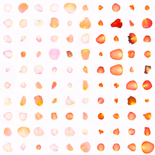 Infinite Petals 10x10#10067
