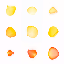 Infinite Petals 3x3#2618