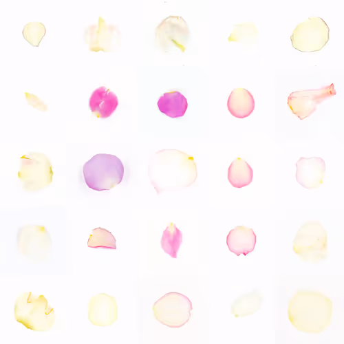 Infinite Petals By Sarah Meyohas