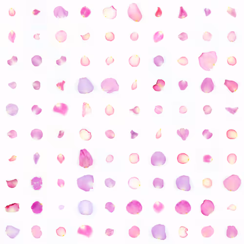 Infinite Petals By Sarah Meyohas