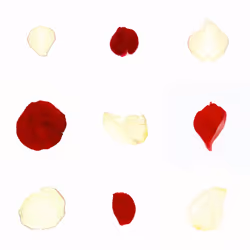 Infinite Petals 3x3#1023