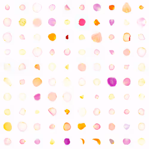 Infinite Petals By Sarah Meyohas
