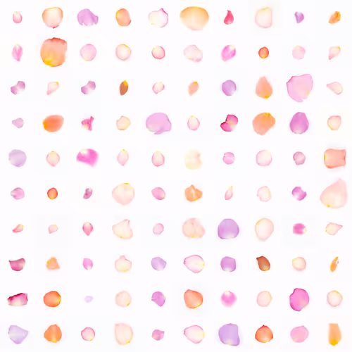 Infinite Petals By Sarah Meyohas