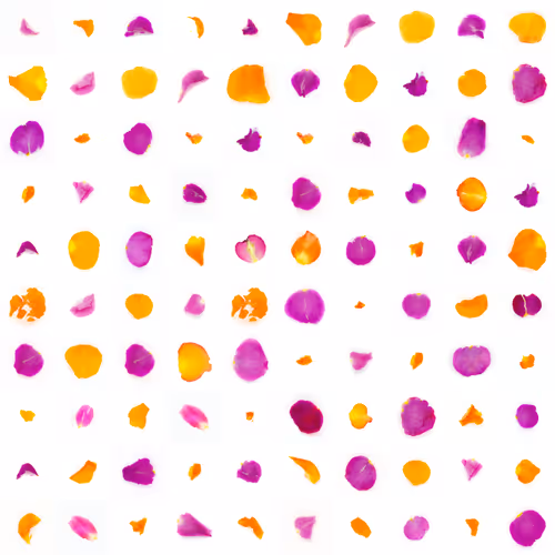 Infinite Petals 10x10#900020