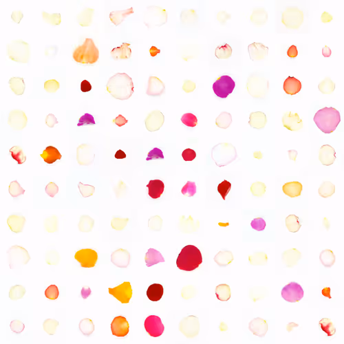 Infinite Petals 10x10#819