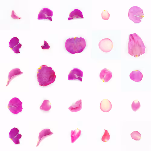 Infinite Petals By Sarah Meyohas