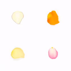 Infinite Petals 2x2#4143