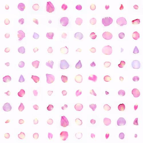 Infinite Petals 10x10#3088