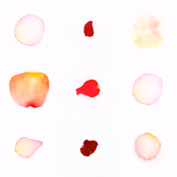 Infinite Petals 3x3#3207