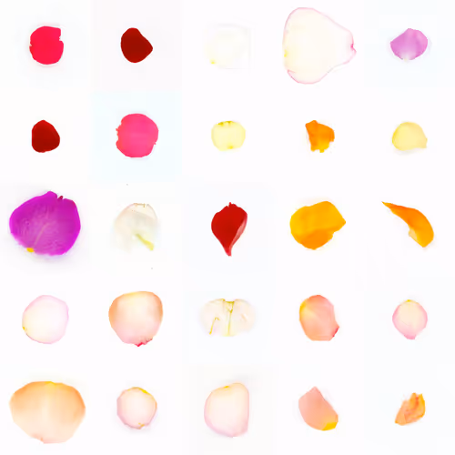 Infinite Petals By Sarah Meyohas