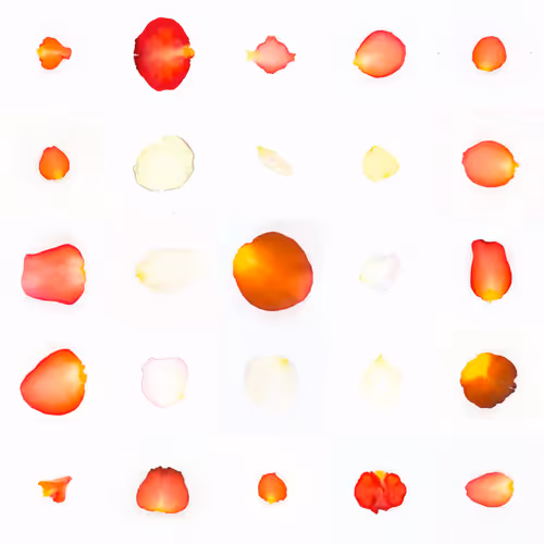Infinite Petals 5x5#11