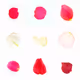 Infinite Petals 3x3#3696