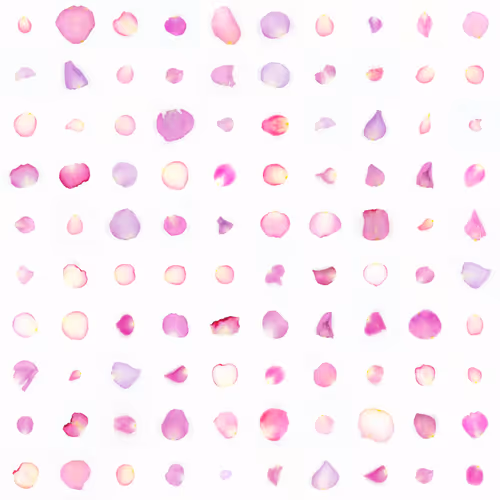 Infinite Petals By Sarah Meyohas