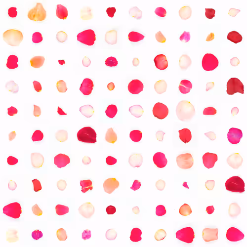 Infinite Petals By Sarah Meyohas