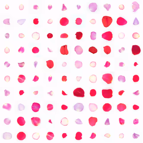 Infinite Petals By Sarah Meyohas