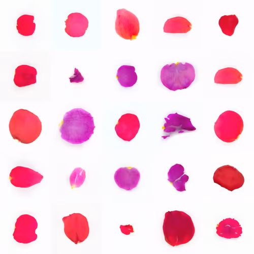 Infinite Petals By Sarah Meyohas