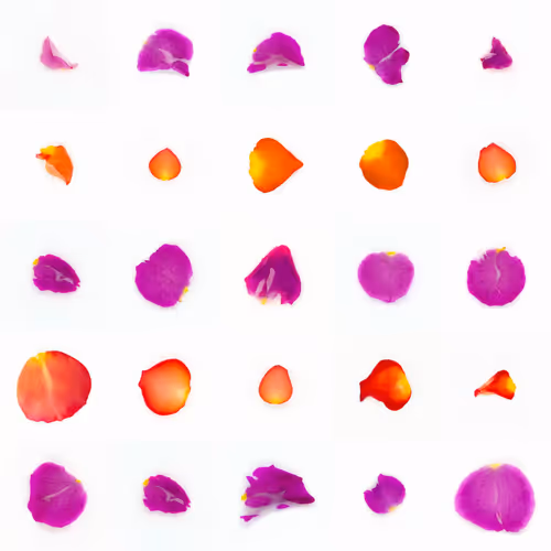Infinite Petals By Sarah Meyohas