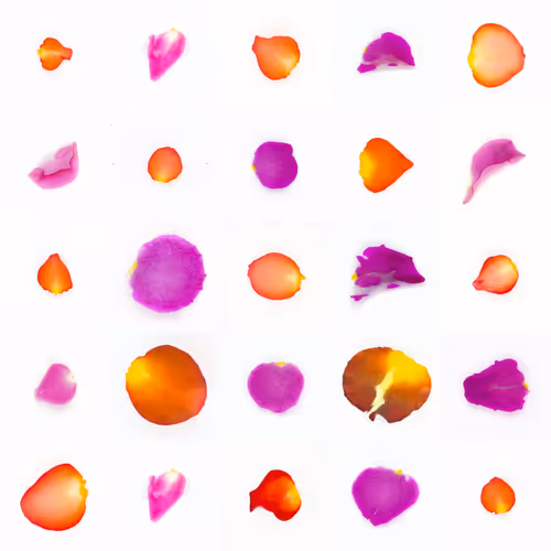 Infinite Petals By Sarah Meyohas