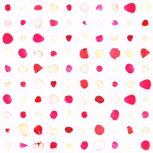 Infinite Petals By Sarah Meyohas