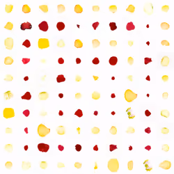 Infinite Petals 10x10#955