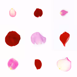 Infinite Petals 3x3#2169