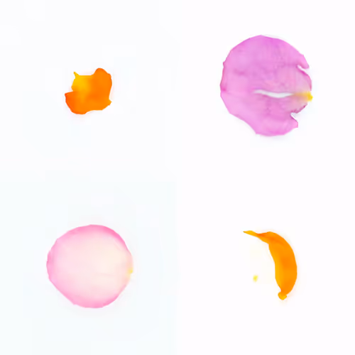 Infinite Petals 2x2#20699