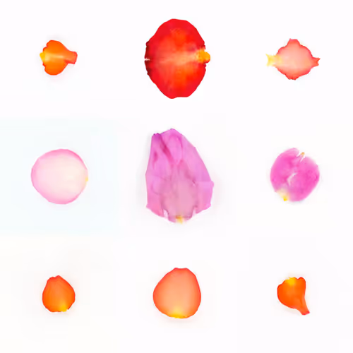 Infinite Petals 3x3#21536