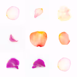 Infinite Petals 3x3#3369