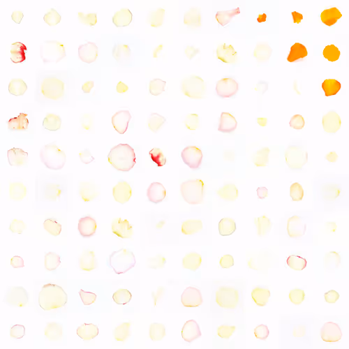 Infinite Petals 10x10#20039