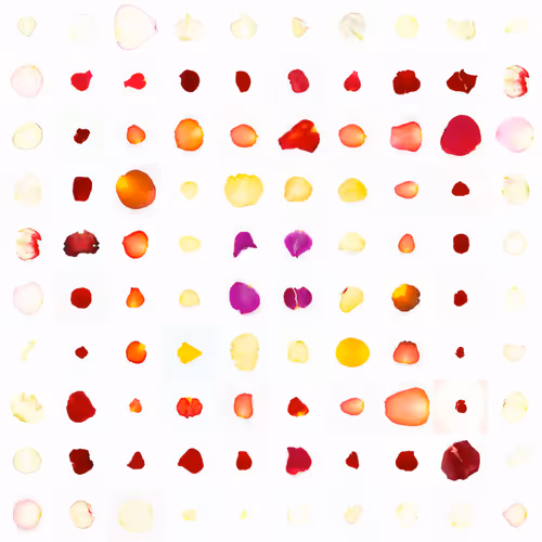 Infinite Petals 10x10#1849