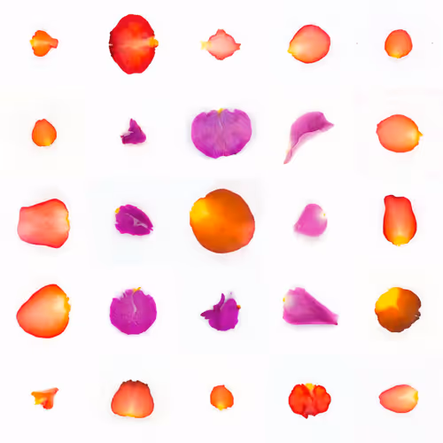 Infinite Petals 5x5#20094