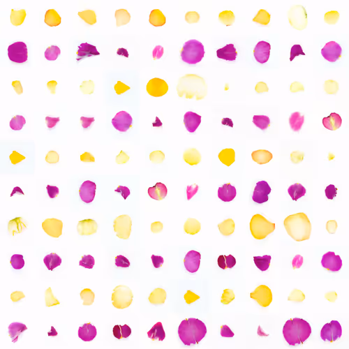 Infinite Petals By Sarah Meyohas