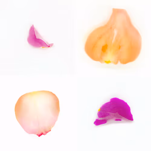 Infinite Petals 2x2#20201