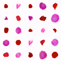 Infinite Petals 5x5#20255