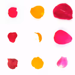 Infinite Petals 3x3#1173