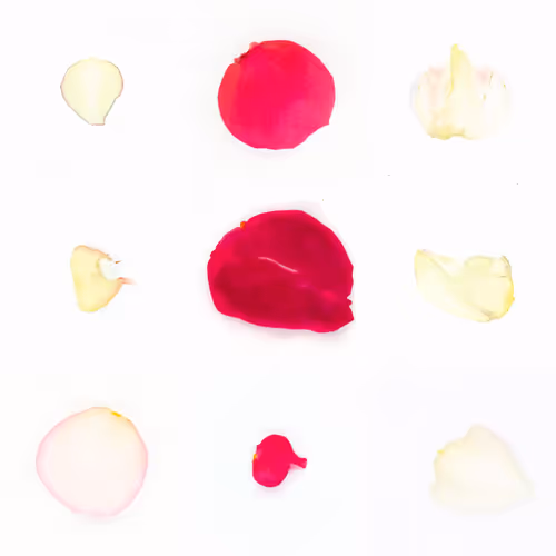 Infinite Petals 3x3#3103