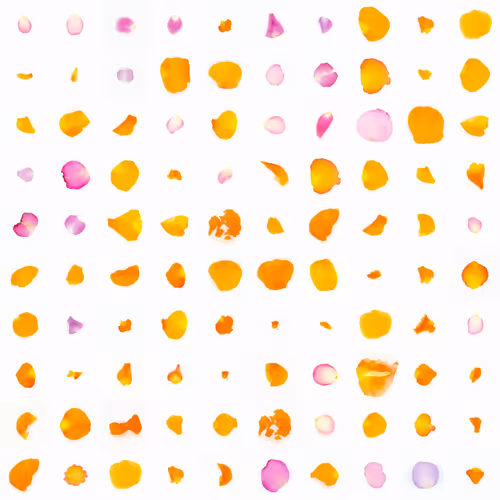 Infinite Petals 10x10#2153