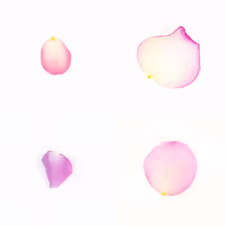 Infinite Petals 2x2#4202