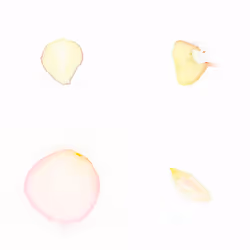Infinite Petals 2x2#3695