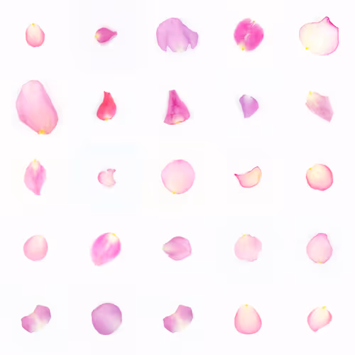 Infinite Petals By Sarah Meyohas