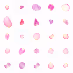 Infinite Petals 5x5#165