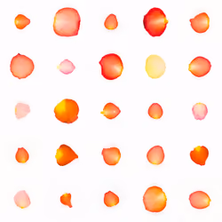 Infinite Petals 5x5#20358