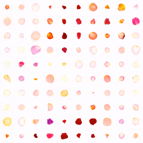 Infinite Petals By Sarah Meyohas