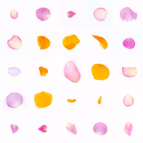 Infinite Petals 5x5#2907