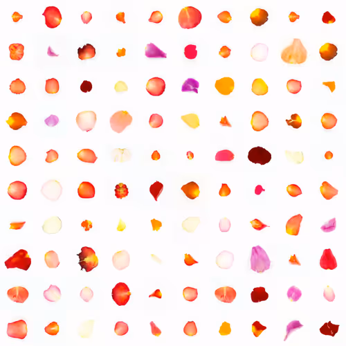 Infinite Petals By Sarah Meyohas