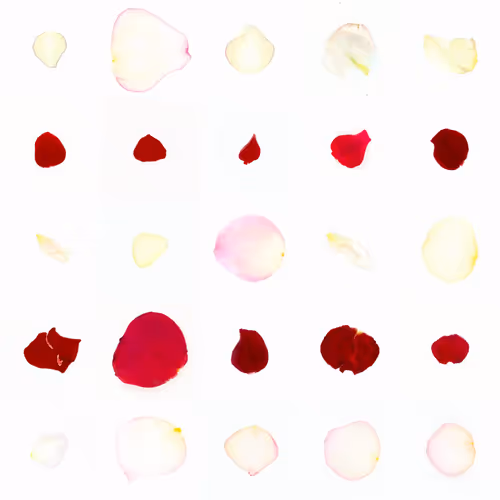 Infinite Petals By Sarah Meyohas