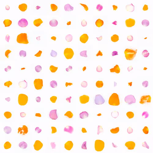 Infinite Petals By Sarah Meyohas