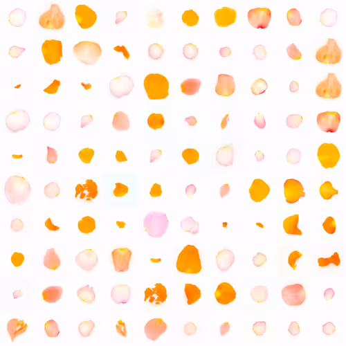 Infinite Petals By Sarah Meyohas
